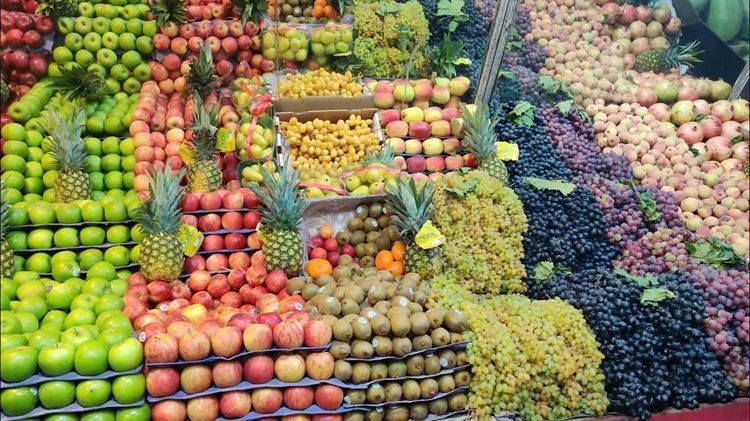 تعرف على أفضل مواعيد لزراعة الخضروات في اليمن