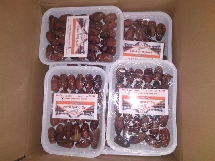 مصنع تمور وادي خورة.. نجاح يستحق الاشادة