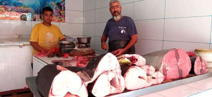 عدن.. أسعار الأسماك من أسواق المنصورة