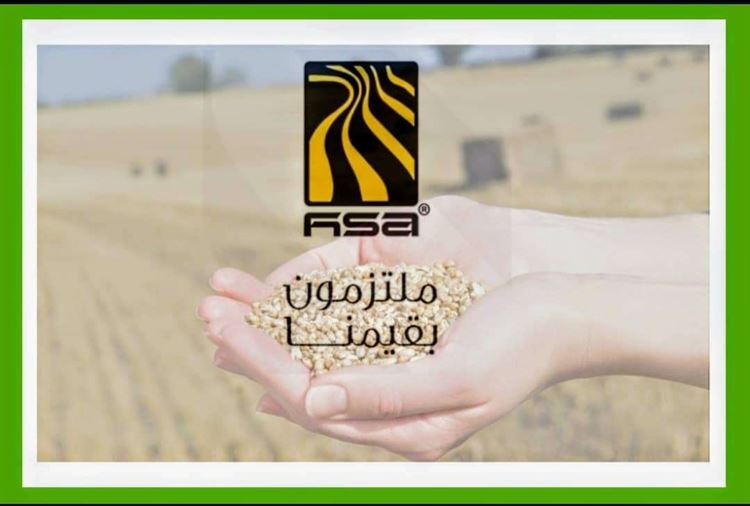 عن مجموعة "هائل سعيد".. نحو اقتصاد وطني أخضر وتنمية مستدامة