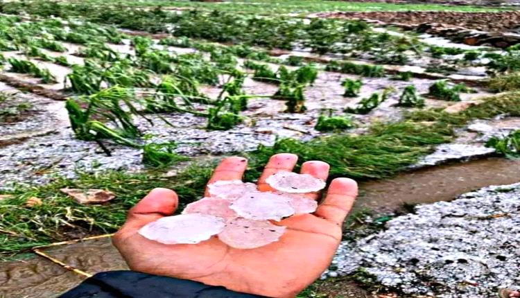 أمطار غزيرة مصحوبة بحبات البرد بمديريات بالضالع