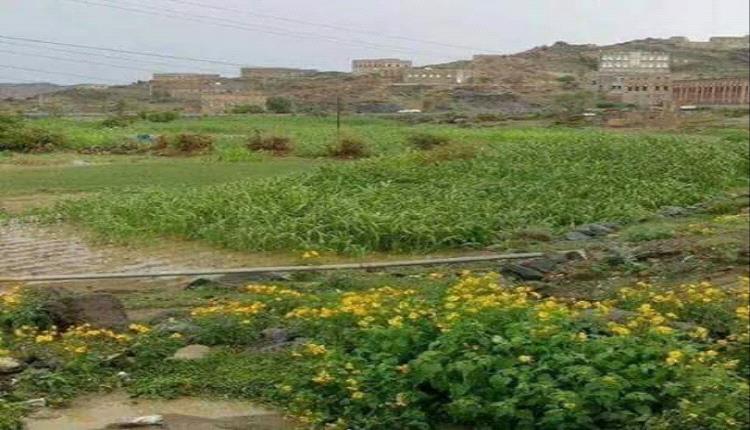 وضع حجر الأساس لبناء مسجد ( الأمير الدكتور احمد بن عبدالله العوذلي) بمنطقة بركان مكيراس