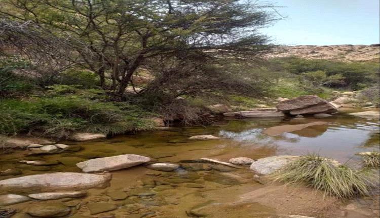 لكسب أرباح.. الحوثيون يبيعون مياه المواطنين لمزارع القات بذمار 
