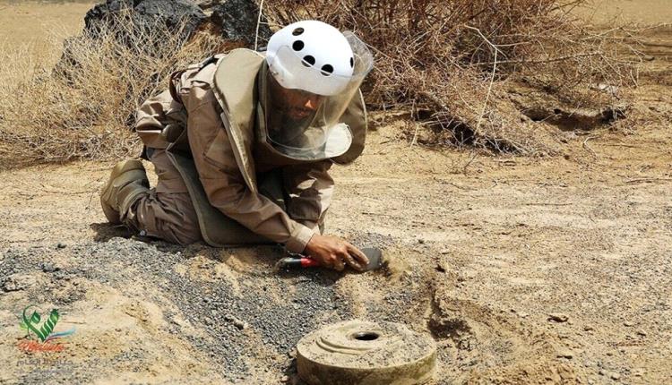 نزع 574 لغمًا خلال أسبوع في عدد من المحافظات 
