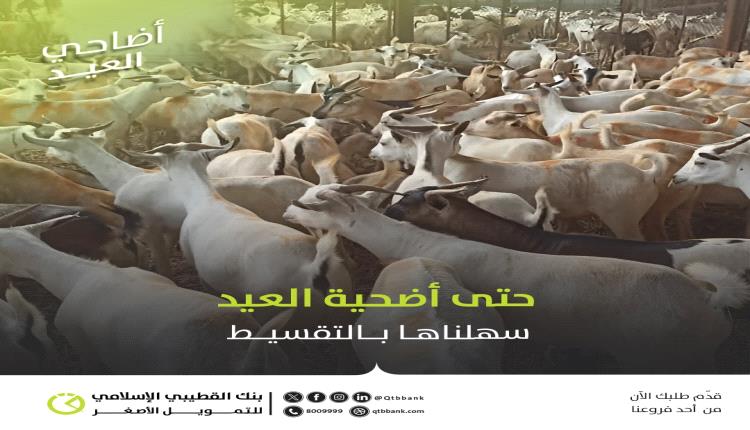 بنك القطيبي للتمويل الأصغر يعلن توفير أضحية العيد بالتقسيط