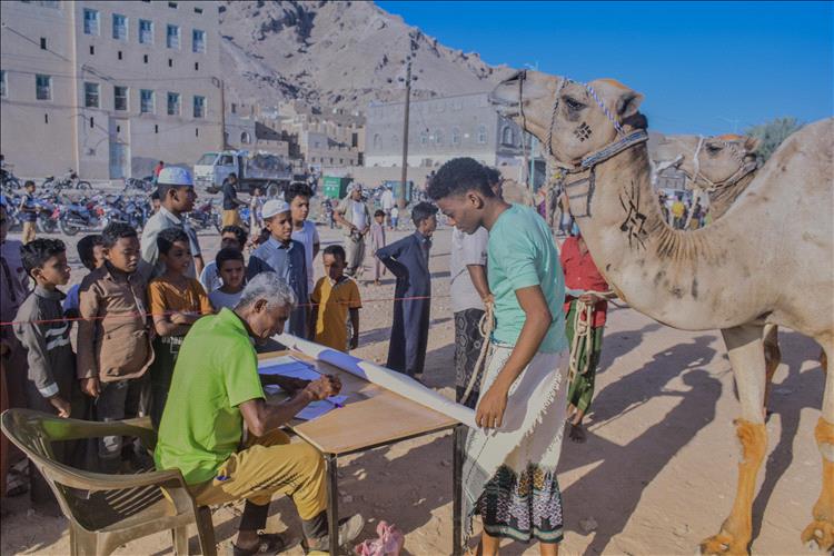 على مدى يومين الإنتهاء من مرحلة التسنين والفحص الطبي للهجن المشاركة في سباق تريم للهجن