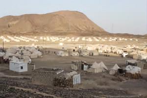 ارتفاع أعداد النازحين داخليًا في اليمن إلى أكثر من 4 آلاف منذ مطلع العام الحالي