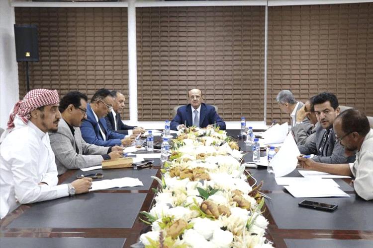 لجنة تمويل وتنظيم الاستيراد تقر دليل العمل والإجراءات لبدء أعمال الفريق التنفيذي