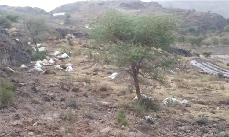 وفاة 3 أشخاص ونفوق مواشٍ وأضرار واسعة بسبب صواعق وسيول في ذمار