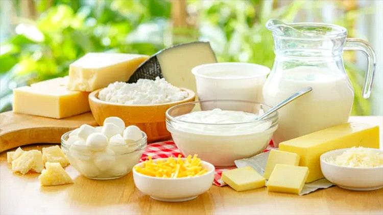 منتجات الألبان تتحدى السرطان.. دراسة تكشف فوائد غير متوقعة