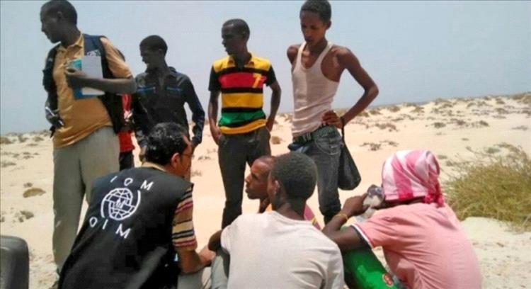 مأساة في عرض البحر.. وفاة 7 مهاجرين إثيوبيين جوعًا وعطشًا قبالة سواحل شبوة