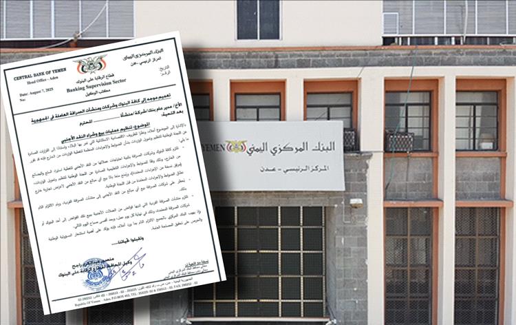المركزي يفرض ضوابط صارمة على بيع وشراء العملات الأجنبية لضبط السوق المصرفية