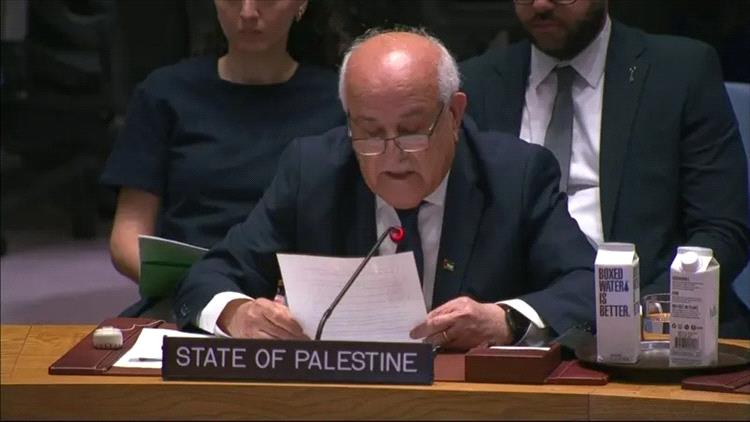 فلسطين: يجب تنفيذ إعلان نيويورك لوقف الحرب في غزة فوراً