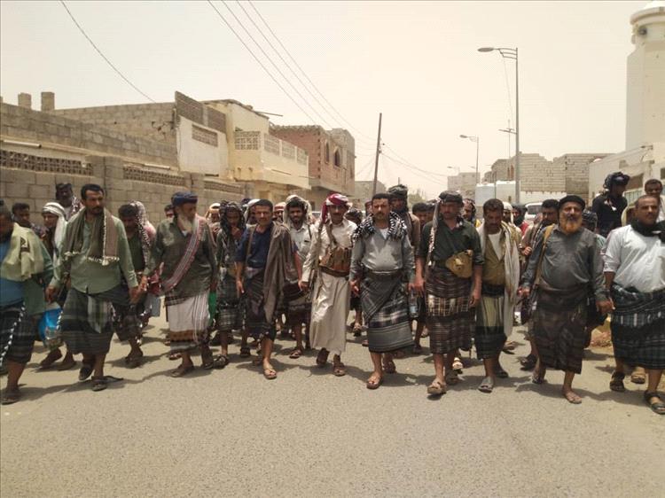 بمسند قبلي كبير .. آل حقيس يسندون لآل الميسري في عاصمة المحافظة زنجبار