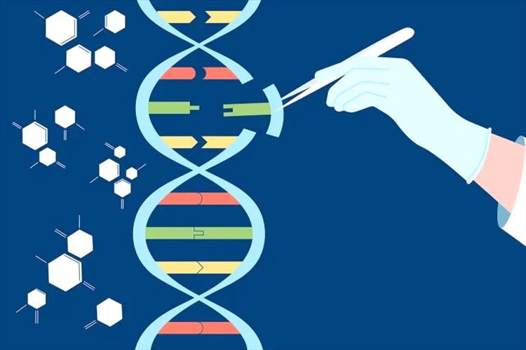 تقنية كريسبر جديدة قد تعيد صياغة مستقبل علاج الأمراض الوراثية