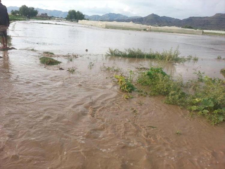 شبوة.. وفاة طفلين غرقاً في سيول الأمطار بمديرية بيحان