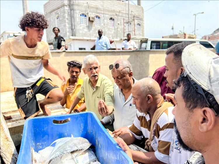 هيئة مصائد خليج عدن تضبط كمية من الأسماك المتعفنة وتتلفها في صيرة