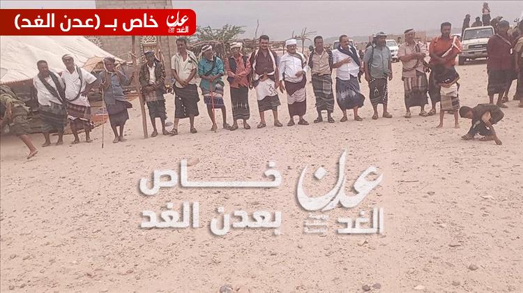 قبيلة آل لحاق تسند الى قبيلة آل العميسي في قضية إصابة أحد أبنائهم