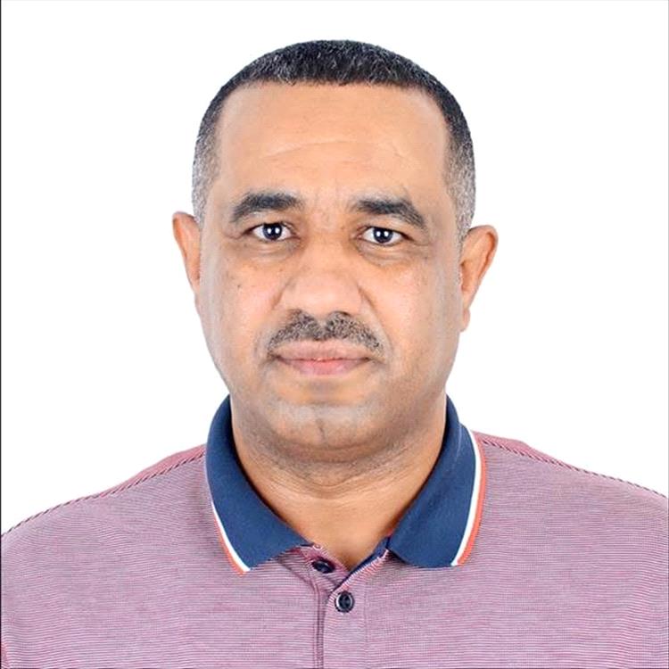 خبير اقتصادي: اليمن بيئة ملائمة لزراعة الزيتون وعوائده تفوق القات
