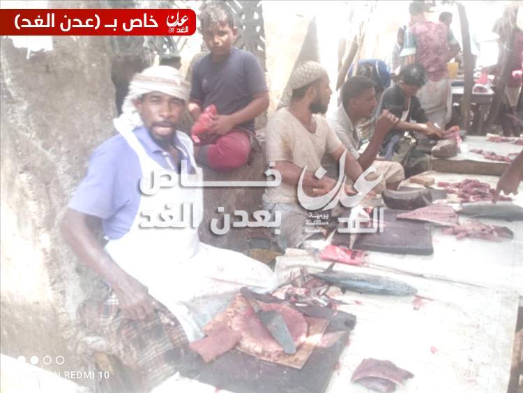 انخفاض كبير في أسعار الأسماك بأحور