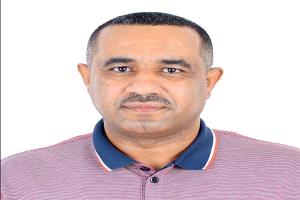 خبير اقتصادي: اليمن بيئة ملائمة لزراعة الزيتون وعوائده تفوق القات