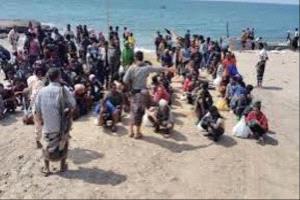 شبوة.. ضبط 70 مهاجرًا غير شرعي فور وصولهم على ساحل رضوم