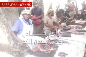 انخفاض كبير في أسعار الأسماك بأحور