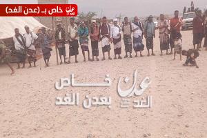 قبيلة آل لحاق تسند الى قبيلة آل العميسي في قضية إصابة أحد أبنائهم