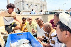 هيئة مصائد خليج عدن تضبط كمية من الأسماك المتعفنة وتتلفها في صيرة