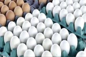 البيض يختفي من عدن... والتجار يتحدّون تسعيرة الحكومة