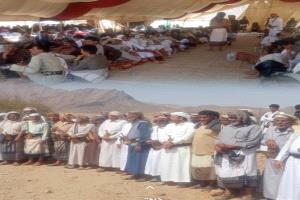 مساعي حثيثة بقيادة قائد الفرقة خامسة عمالقة لإنهاء قضية ثأر بين آل العطير وآل السقاف في حريب من 65عاما