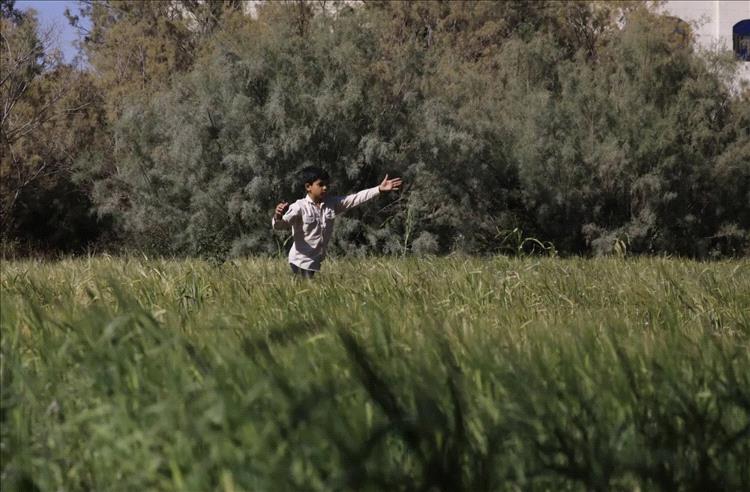 أسعار الغذاء العالمية تنخفض للشهر الثالث في نوفمبر