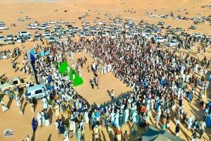 نجاح مهرجان محمد بن زايد لسباقات الهجن بشبوة" يكرّس الروابط الأخوية ويعزز التراث العربي