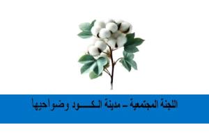 لجنة الكود المجتمعية بخنفر تعلن استقالتها جماعياً