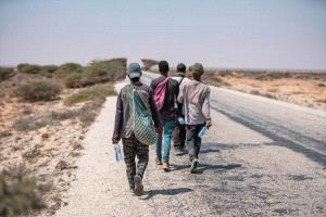 17 ألف مهاجر أفريقي يعبرون إلى اليمن خلال نوفمبر