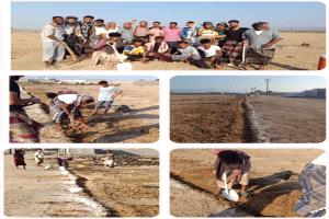 بدء العمل في تسوير ملعب فريق الإنجاز الرياضي بشقرة