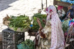 "جرامين يمن"... بارقة أمل لمكافحة الفقر