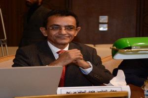 علوي الباشا: حماية مركز اليمن القانوني والسيادي مسألة أمن وطني وقومي عربي