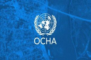 "أوتشا" يعلن إصابة 733 فلسطينياً في هجمات للمستعمرين الإسرائيليين خلال العام الجاري