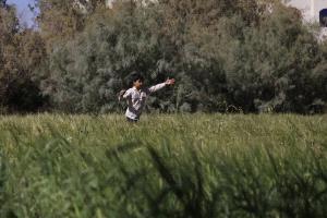 أسعار الغذاء العالمية تنخفض للشهر الثالث في نوفمبر