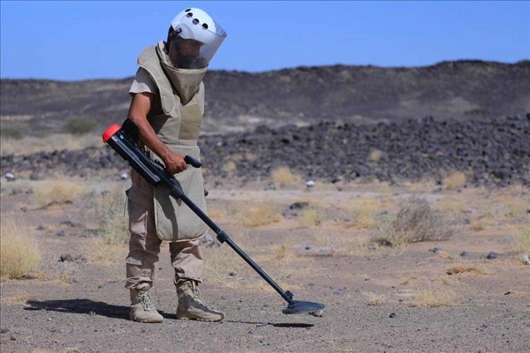 مسام يتلف أكثر من 4600 قطعة من الذخائر غير المنفجرة في أبين