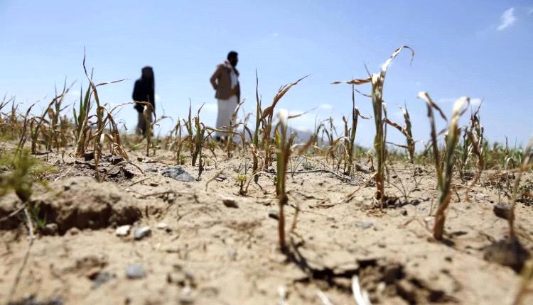 الجفاف يعمق أزمة الغذاء في اليمن
