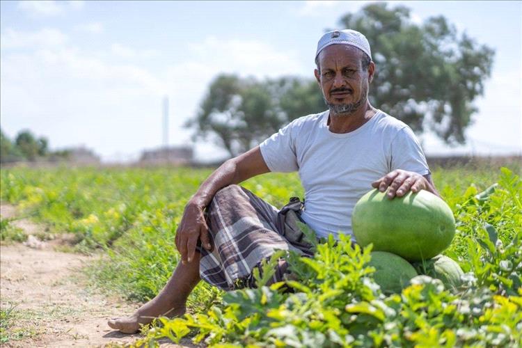 2.3 مليون يمني يستفيدون من مشروع أوروبي لدعم صمود الريف