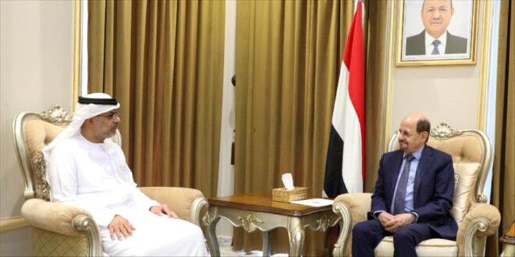 وزير الخارجية يبحث مع السفير الإماراتي تنسيق المواقف تجاه القضايا ذات الاهتمام المشترك