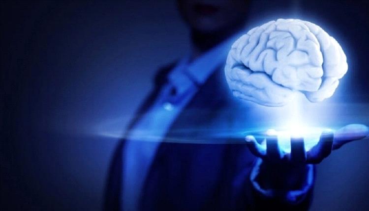 ثورة في علاج الاضطرابات العقلية.. تقنية الموجات فوق الصوتية تنقل الكرياتين للدماغ لتعزيز القدرات الذهنية