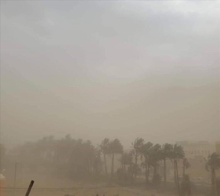 الأمين العام للمجلس المحلي بحضرموت يتابع مستجدات الحالة الجوية ويشدّد على رفع الجاهزية