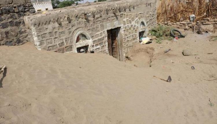 عواصف الغبار تلتهم المحاصيل وتُهدد الأمن الغذائي في اليمن والمنطقة