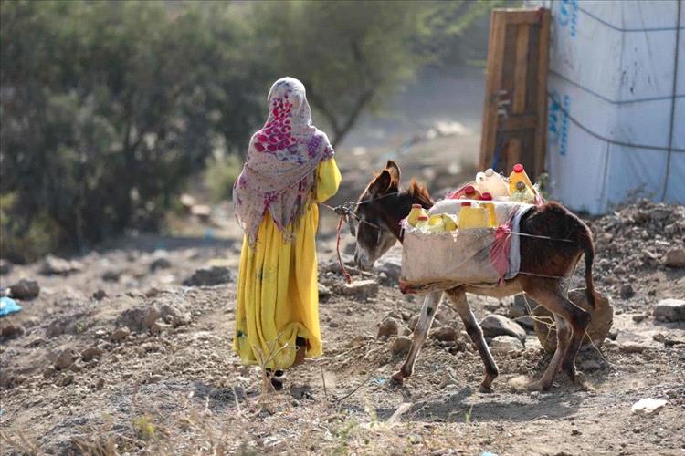 تعز تموت عطشًا.. كيف فاقم قرار ترامب مأساة المياه في المدينة؟