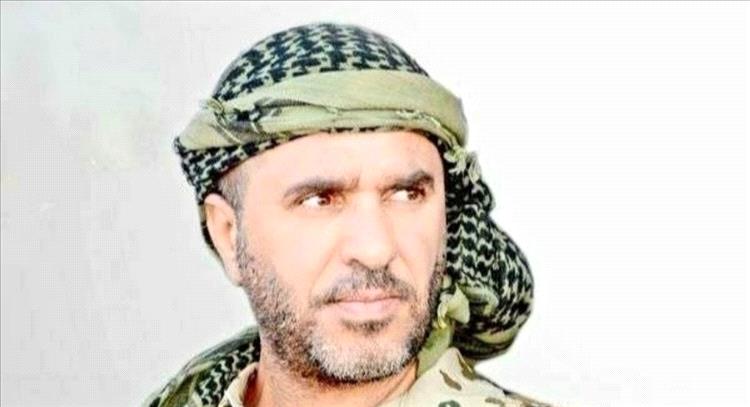 دويد: شحنة الأسلحة الإيرانية فضحت استخفاف طهران بالسلام وأمن الجوار