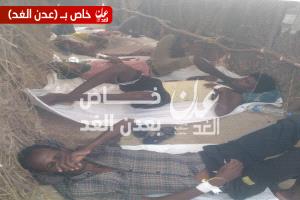 إصابة (4) مهاجرين افارقة جدد بينهم شابة بوباء الكوليرا في مديرية أحور بأبين